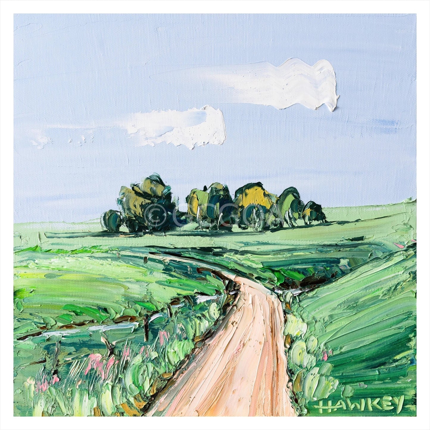 Shallow Creek - Fine Art Print - Gold Coast Gallery Of ArtAngela Hawkey