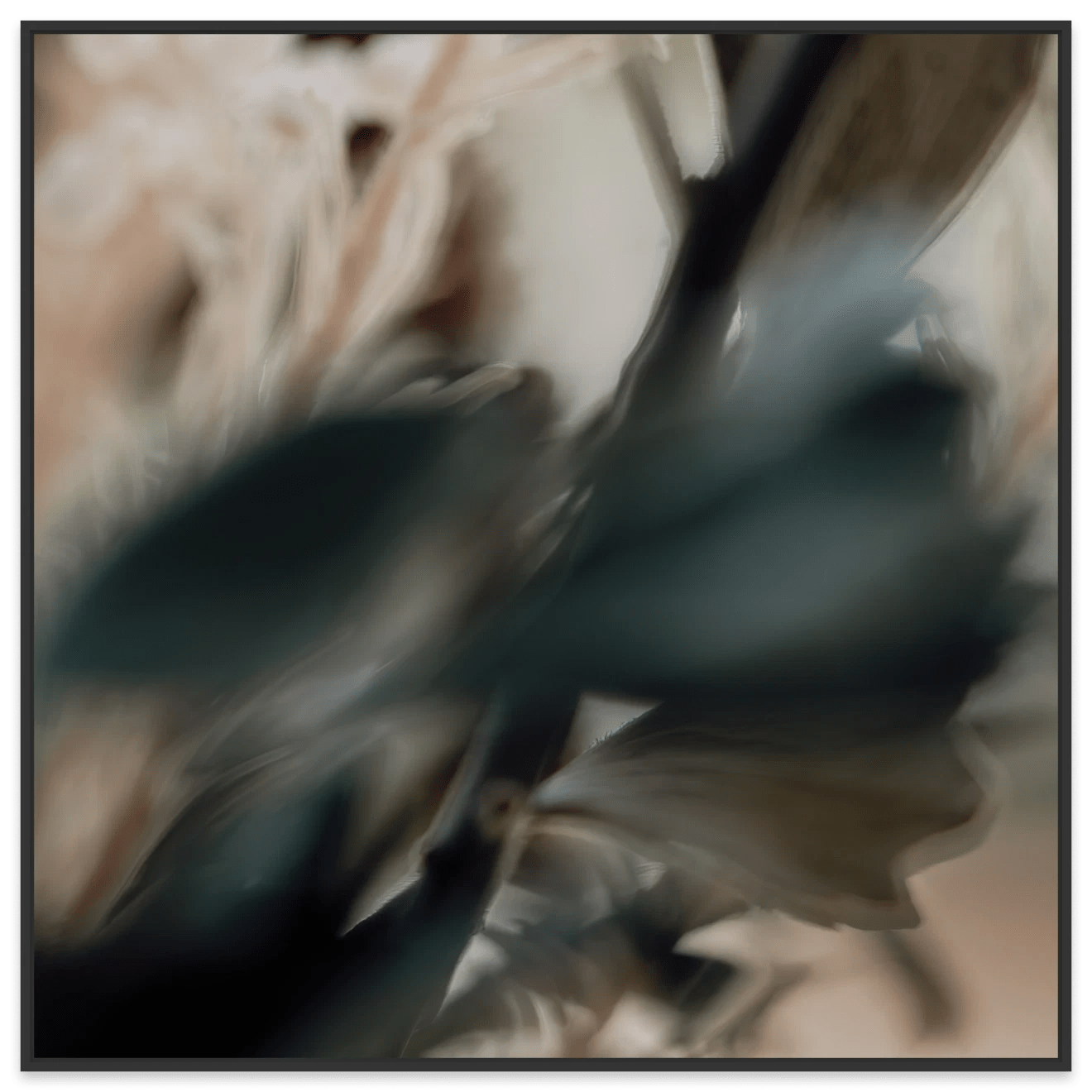 Simple Beauty Collection 1 C2 - Fine Art Print - Gold Coast Gallery Of ArtAngela Hawkey