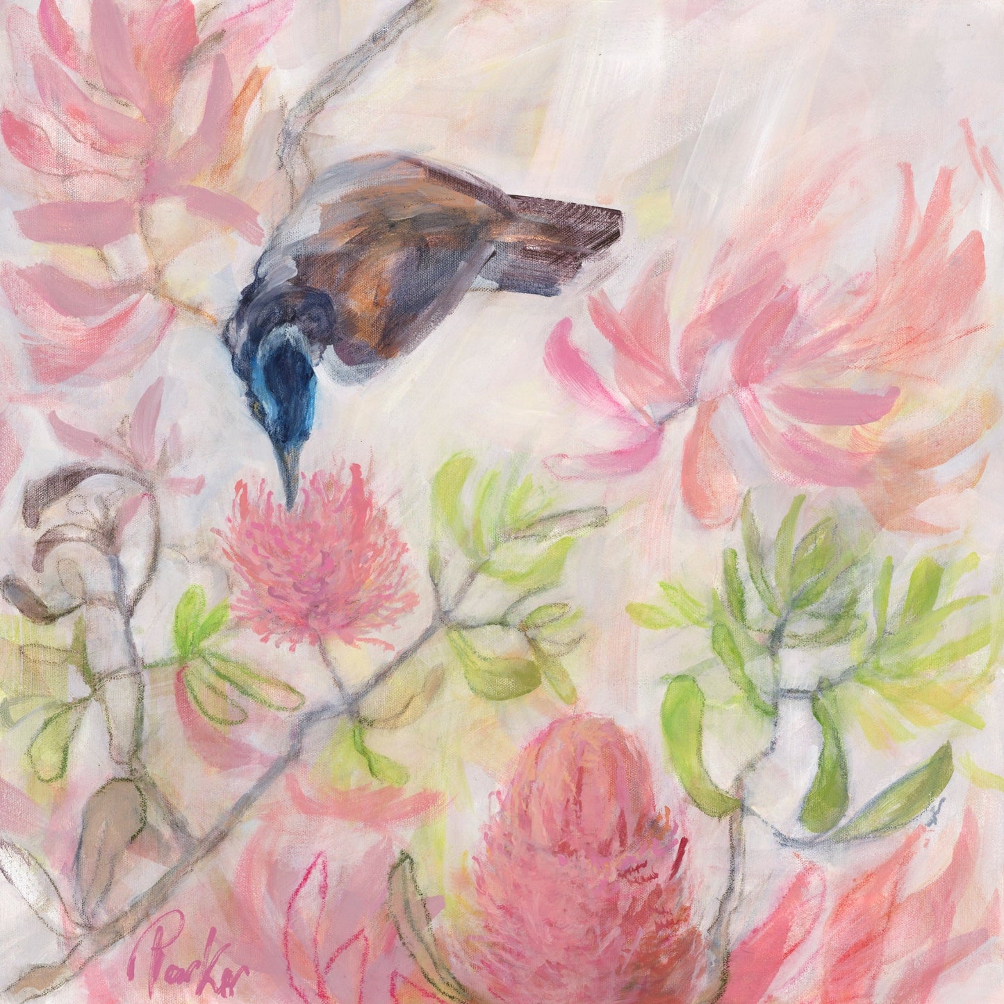 Sip - Blue Eared Honey Eater - Gold Coast Gallery Of ArtDeb Parker Artist