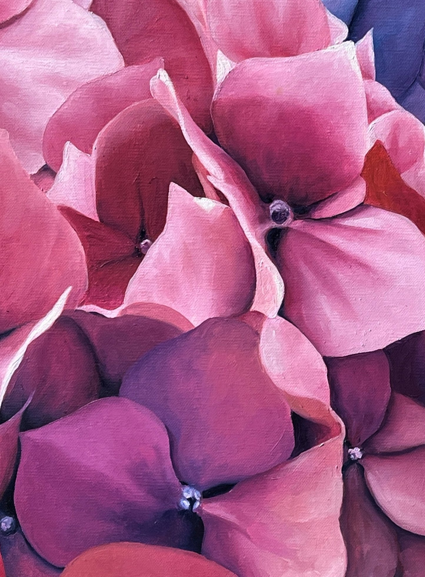 Siren's Song - Gold Coast Gallery Of ArtTrisha Lambi