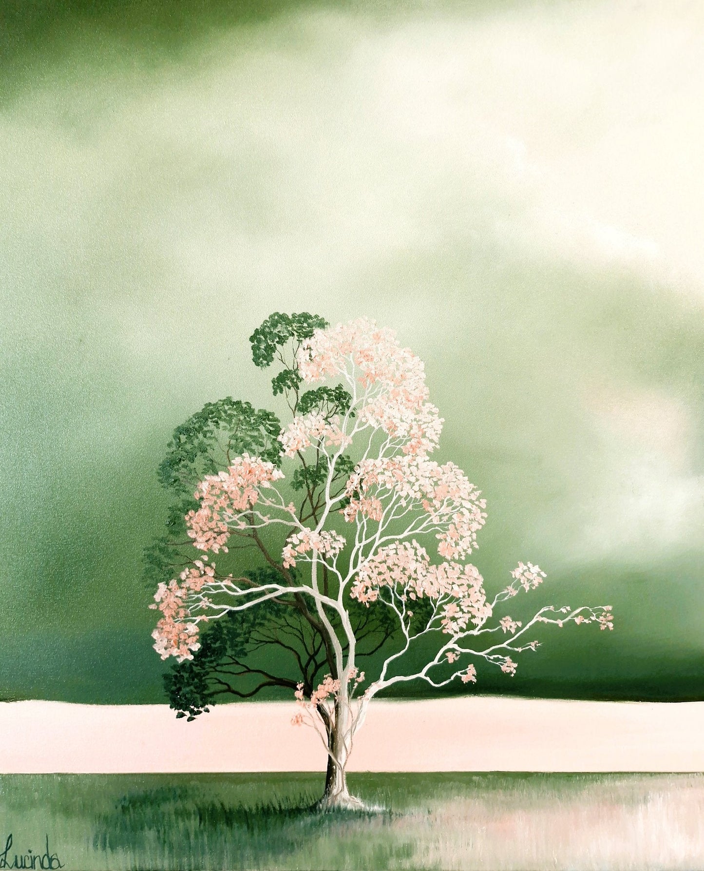 Soft Weather Blossom - Gold Coast Gallery Of ArtLucinda Leveille