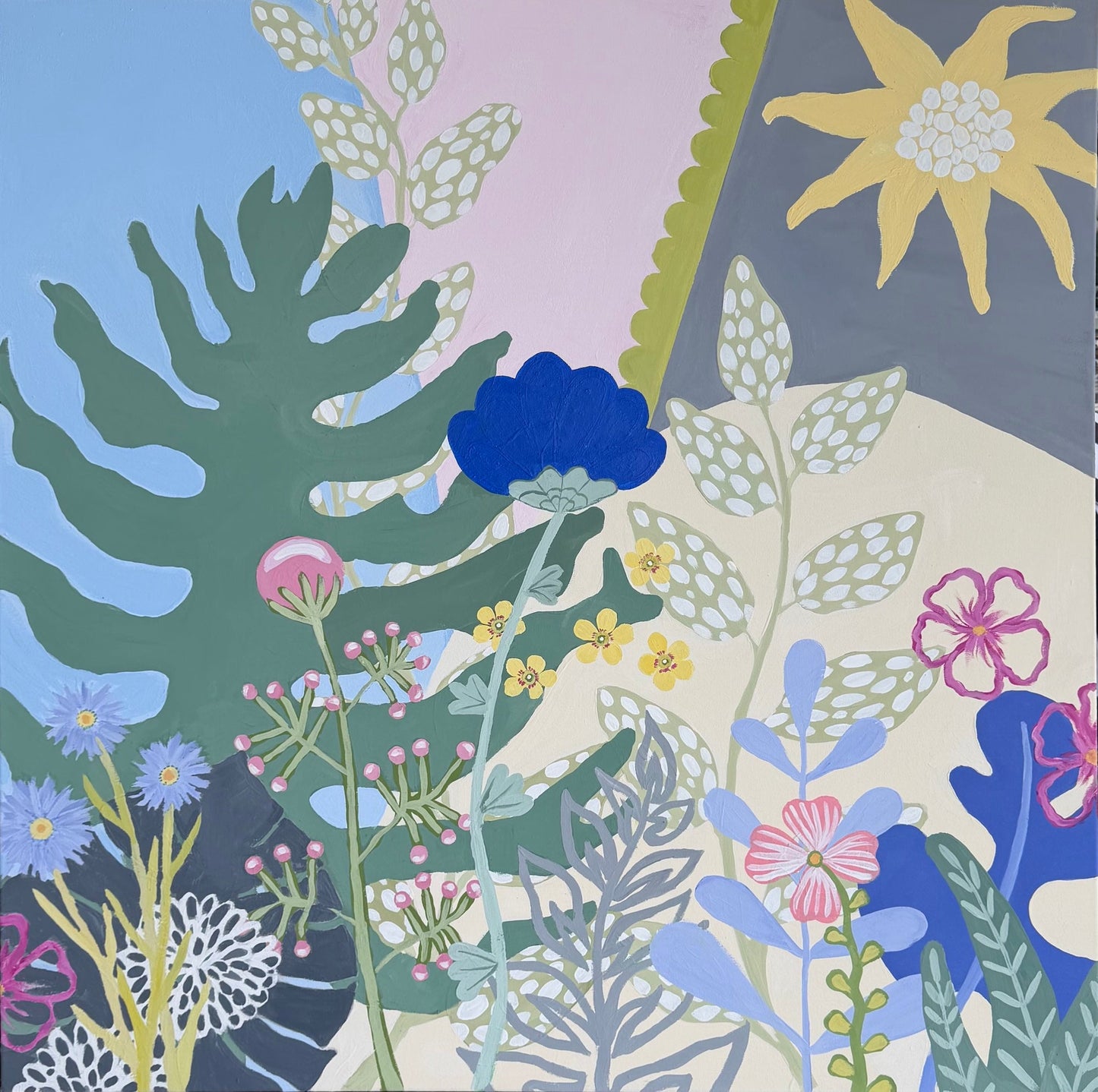 Sunshine Blooms - Gold Coast Gallery Of ArtDaniela Fowler Art