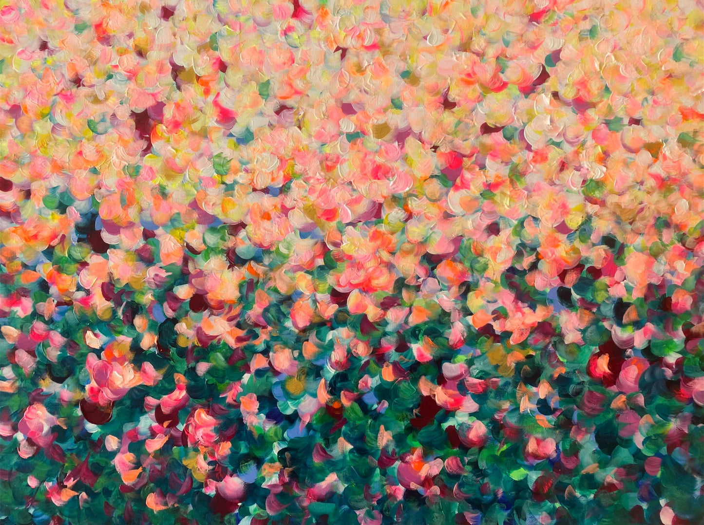 Sunshine Petals - Gold Coast Gallery Of ArtKatherine Spiller