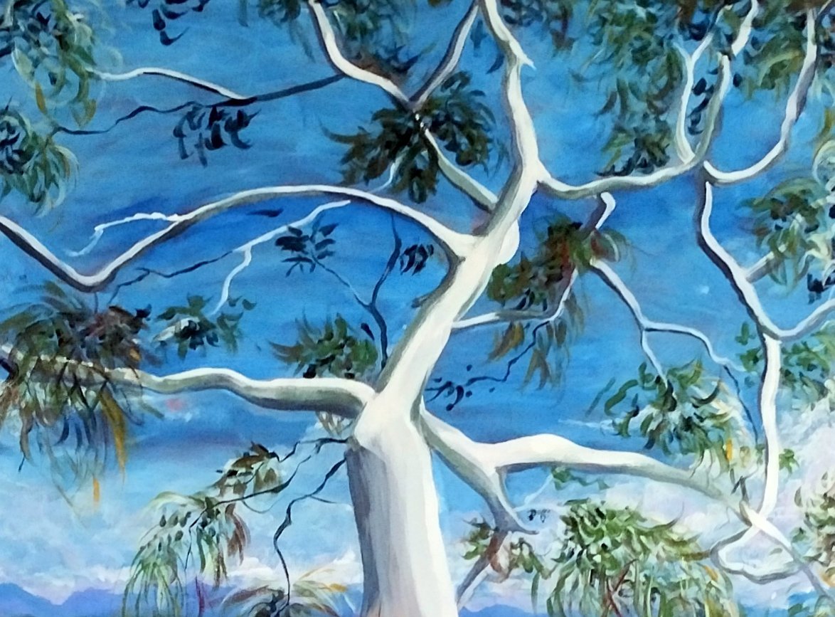 The BendyTree Eucalyptus Alba Australian White Gumtree - Original Art - Gold Coast Gallery Of ArtYvonne Wells