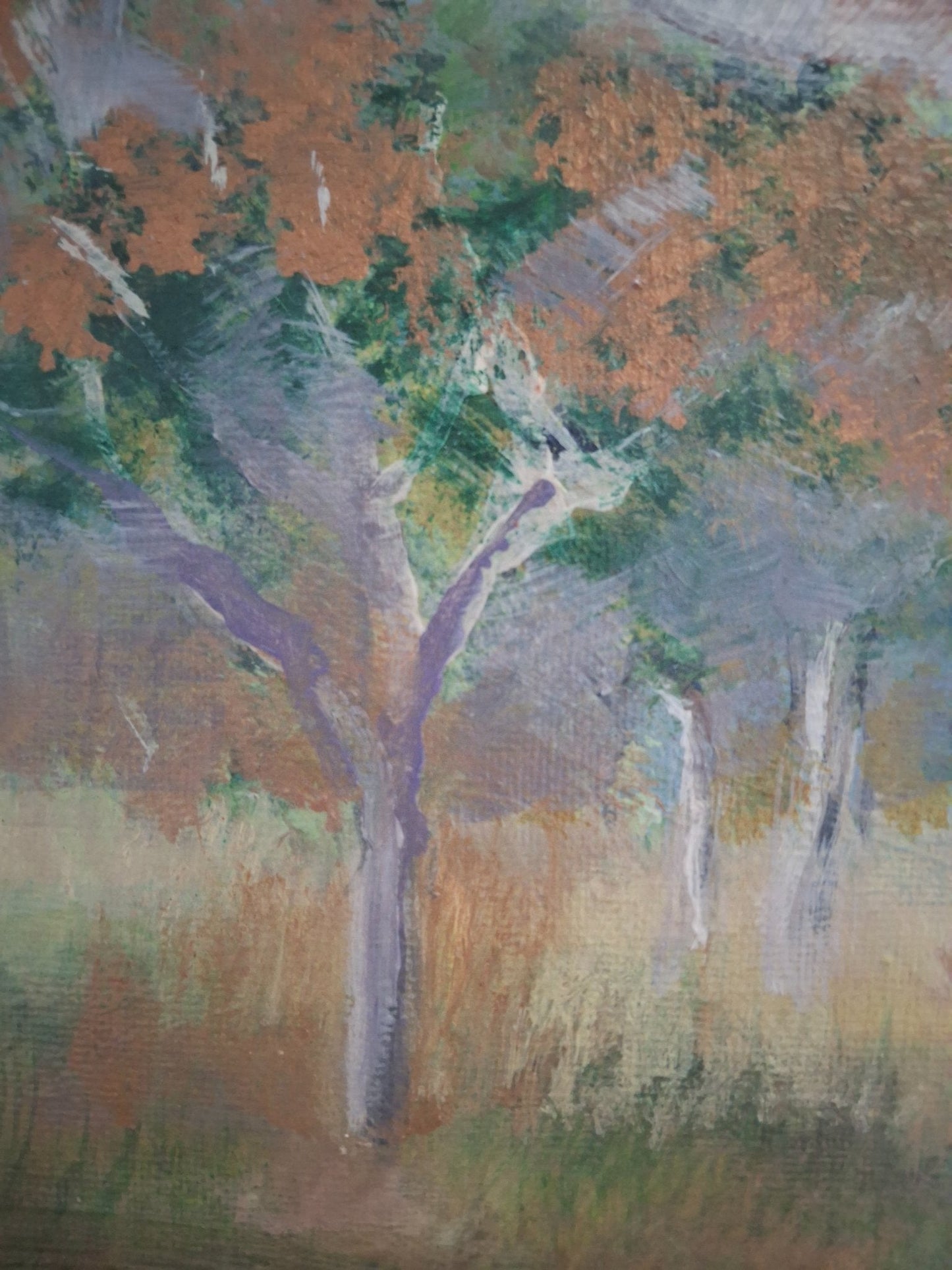 The Colours of Australia - Original Art - Gold Coast Gallery Of ArtNatalie K