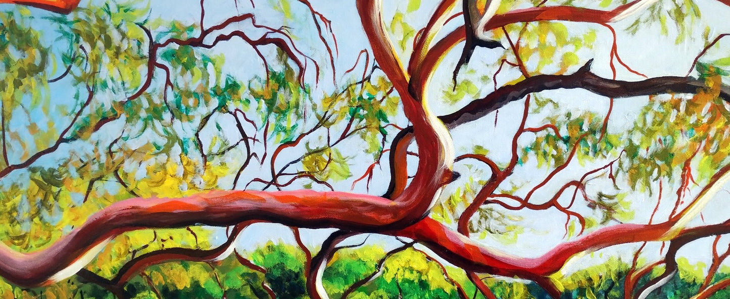 The Long Walk Back - Original Art - Gold Coast Gallery Of ArtYvonne Wells
