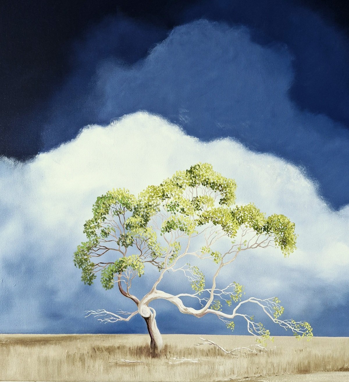 The Watcher of the Dust Road - Gold Coast Gallery Of ArtLucinda Leveille