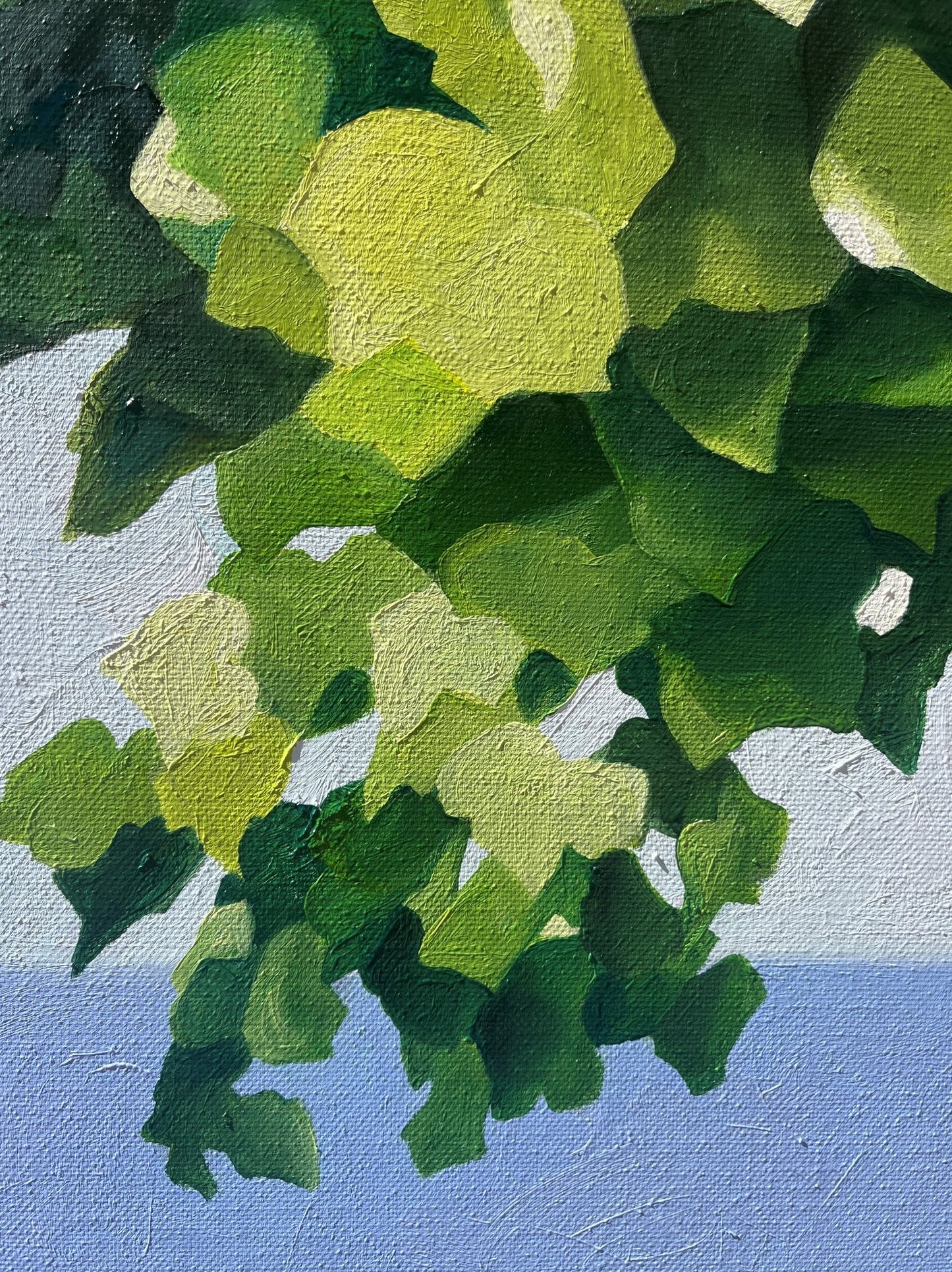 Through The Grapevine - Gold Coast Gallery Of ArtTrisha Lambi