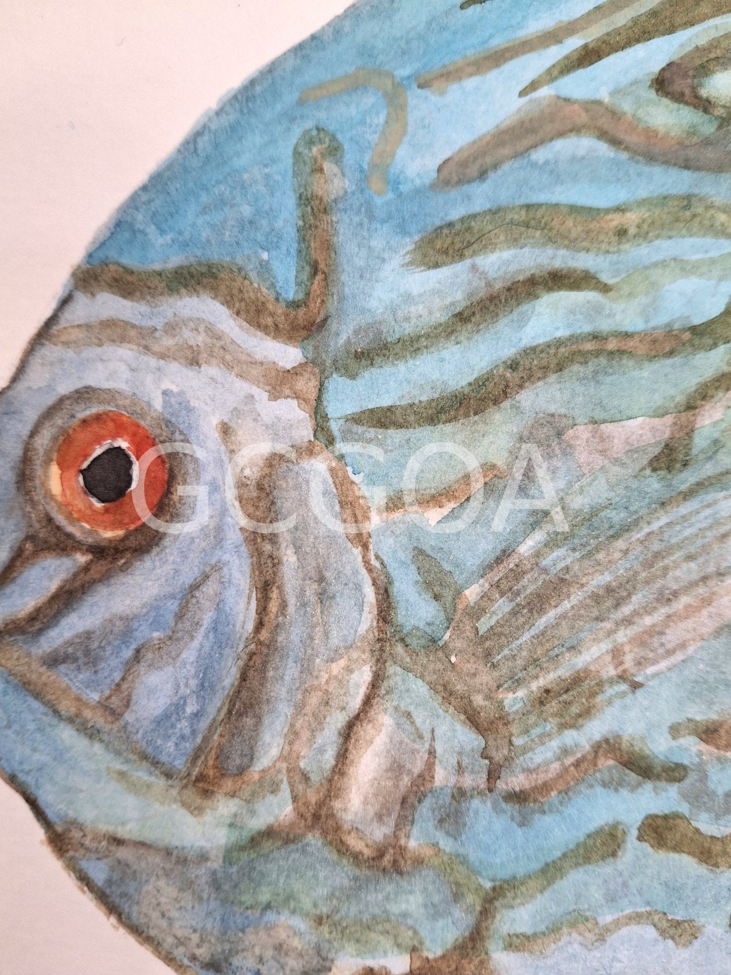 Tropical Fish Watercolour Painting - Gold Coast Gallery Of ArtNatalie K