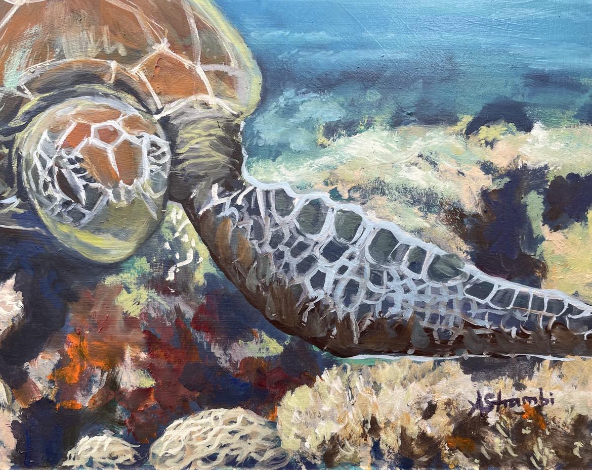 Turtle Drifting over Coral - Gold Coast Gallery Of ArtAnne Strambi