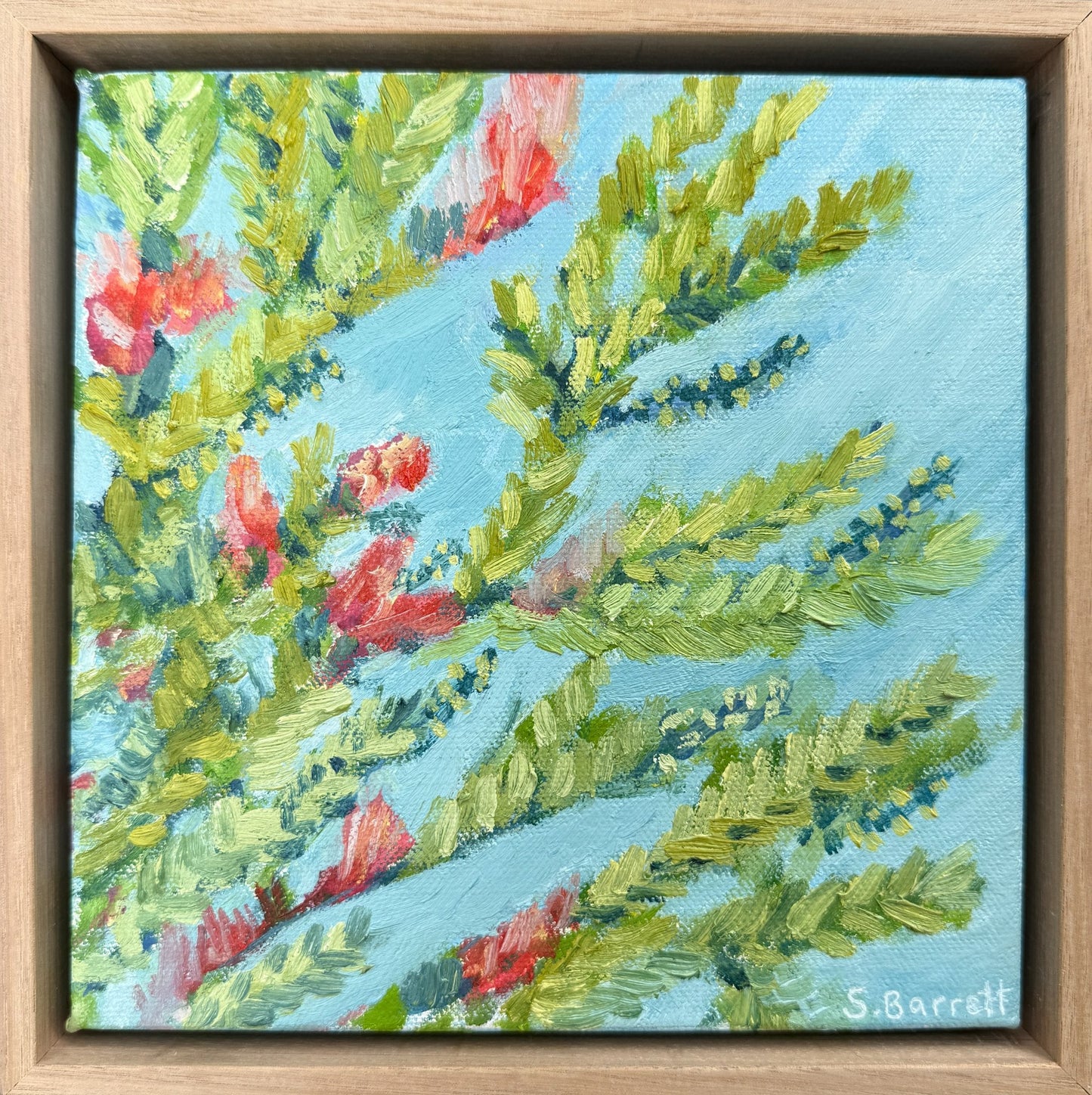 Under The Bottlebrush Tree - Gold Coast Gallery Of ArtSuzanne Barrett