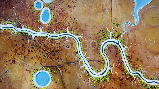 Veins of The Land - Gold Coast Gallery Of ArtTania Chanter