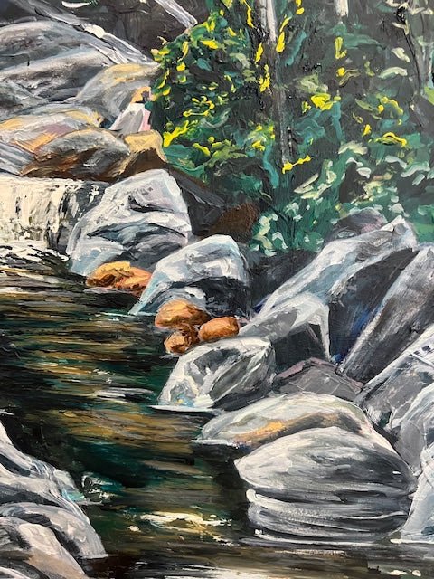 Venus Baths: Creek - Original Art - Gold Coast Gallery Of ArtRachel Braybon