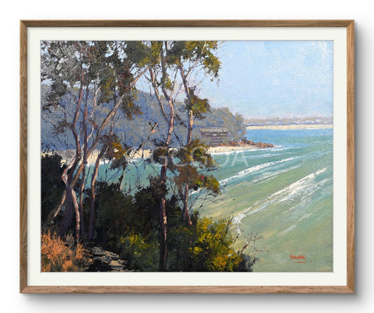 View To Little Cove, Noosa - Gold Coast Gallery Of ArtRod Moore