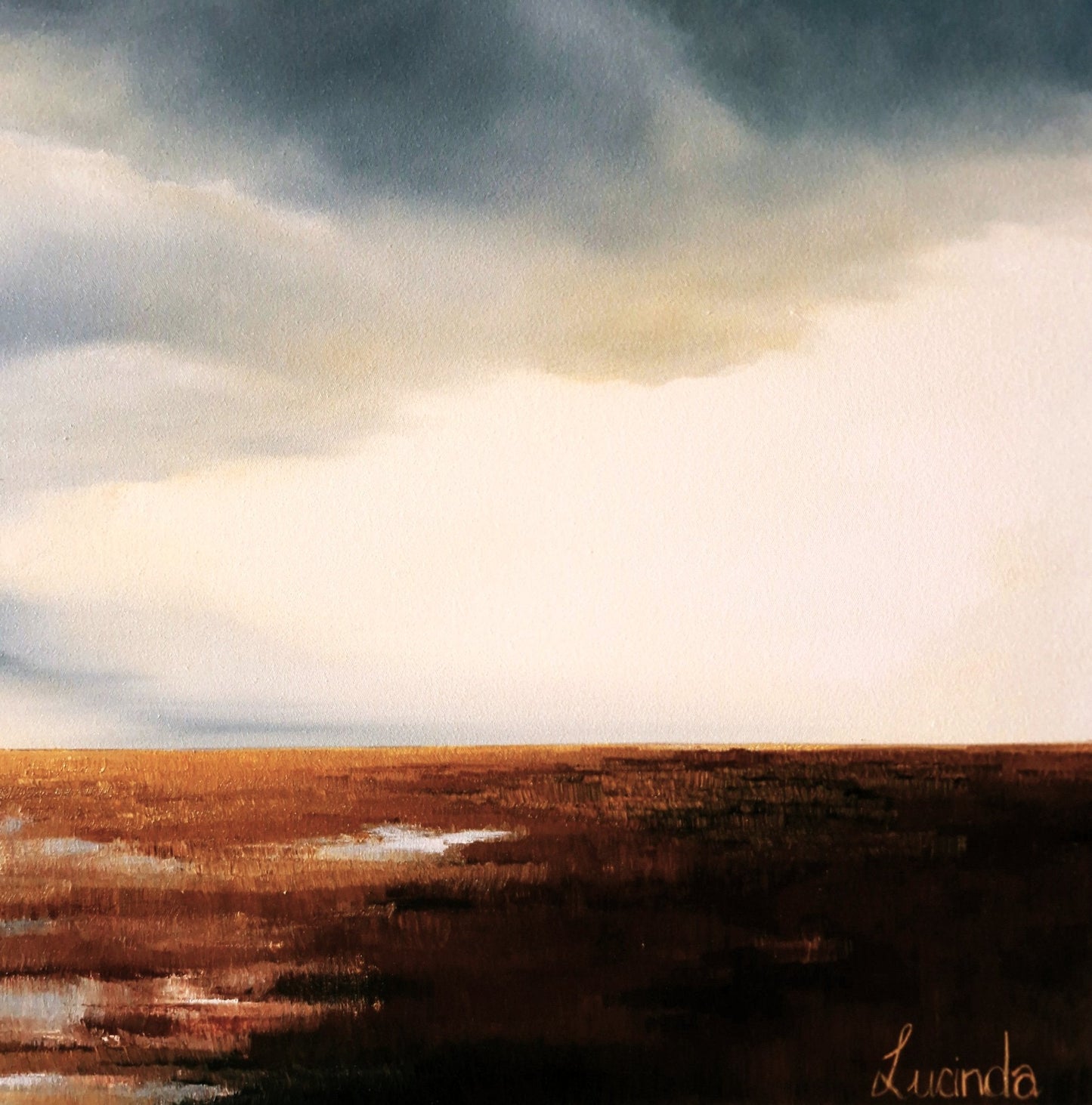 What The Rain Left Behind - Gold Coast Gallery Of ArtLucinda Leveille