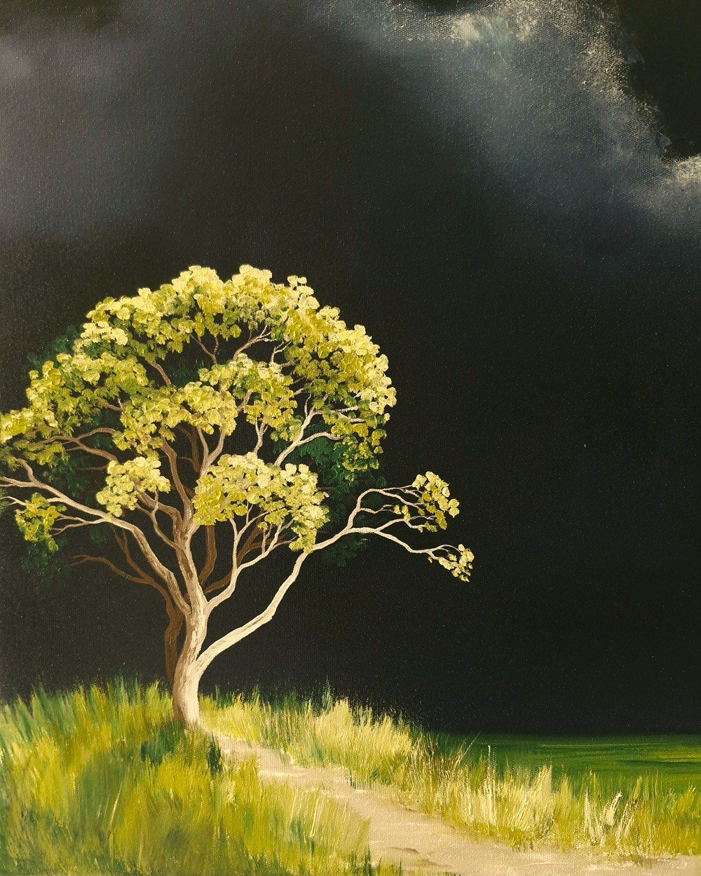 Where The Light Pauses - Gold Coast Gallery Of ArtLucinda Leveille