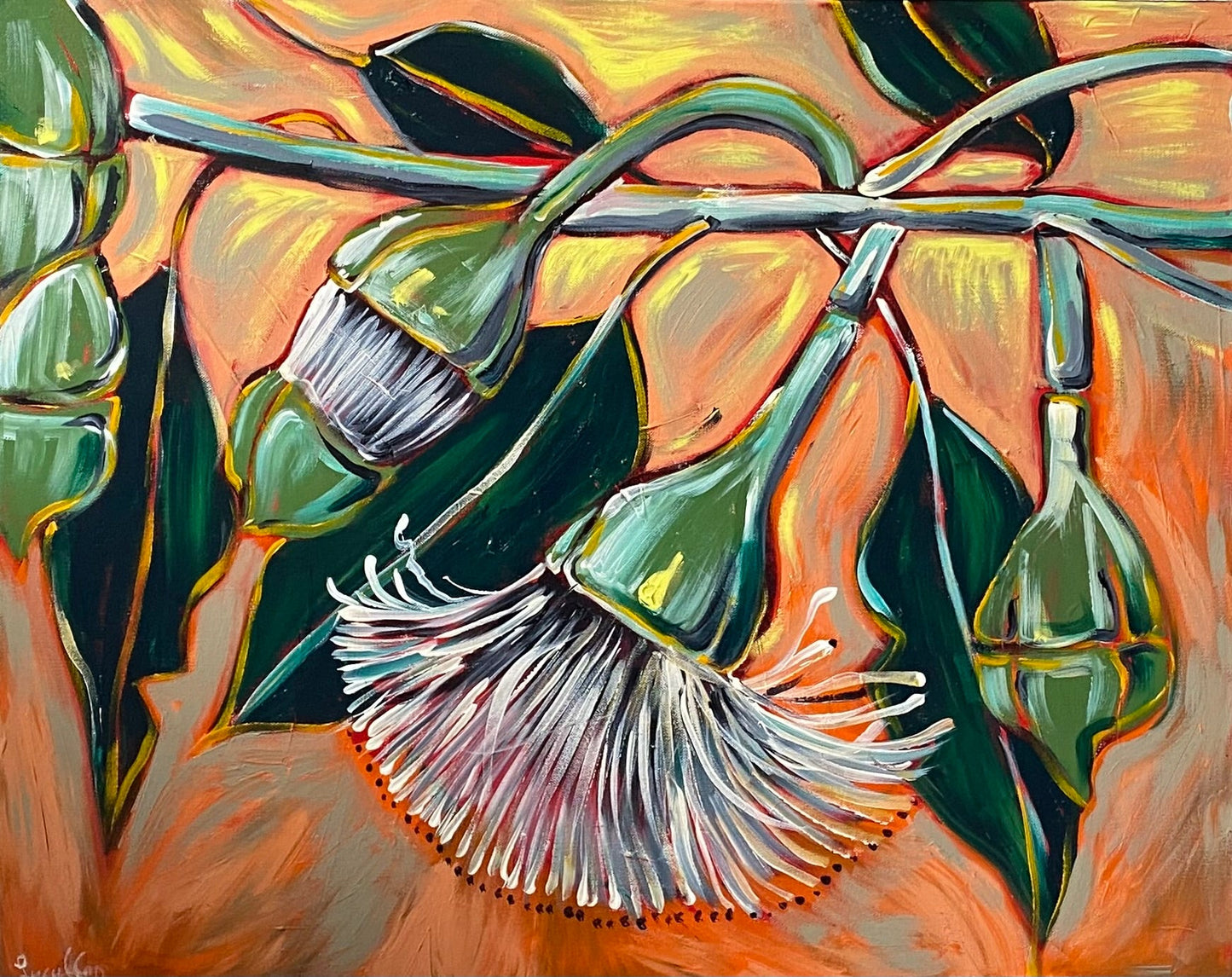 White Gum Blossoms - Original Art - Gold Coast Gallery Of ArtLucy Car