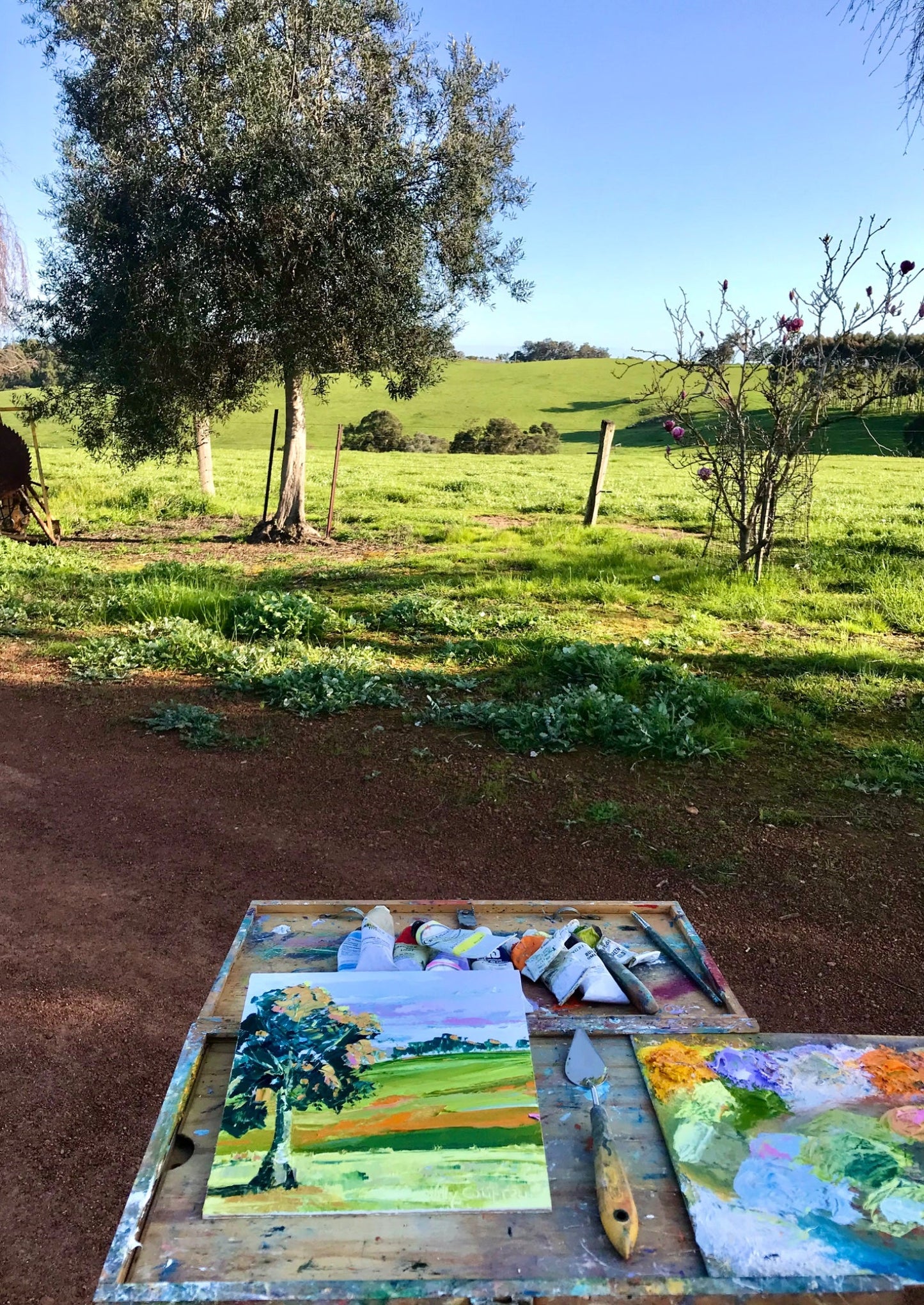 Winter on the Farm 8 - Plein Air - Gold Coast Gallery Of ArtHilly Coufreur