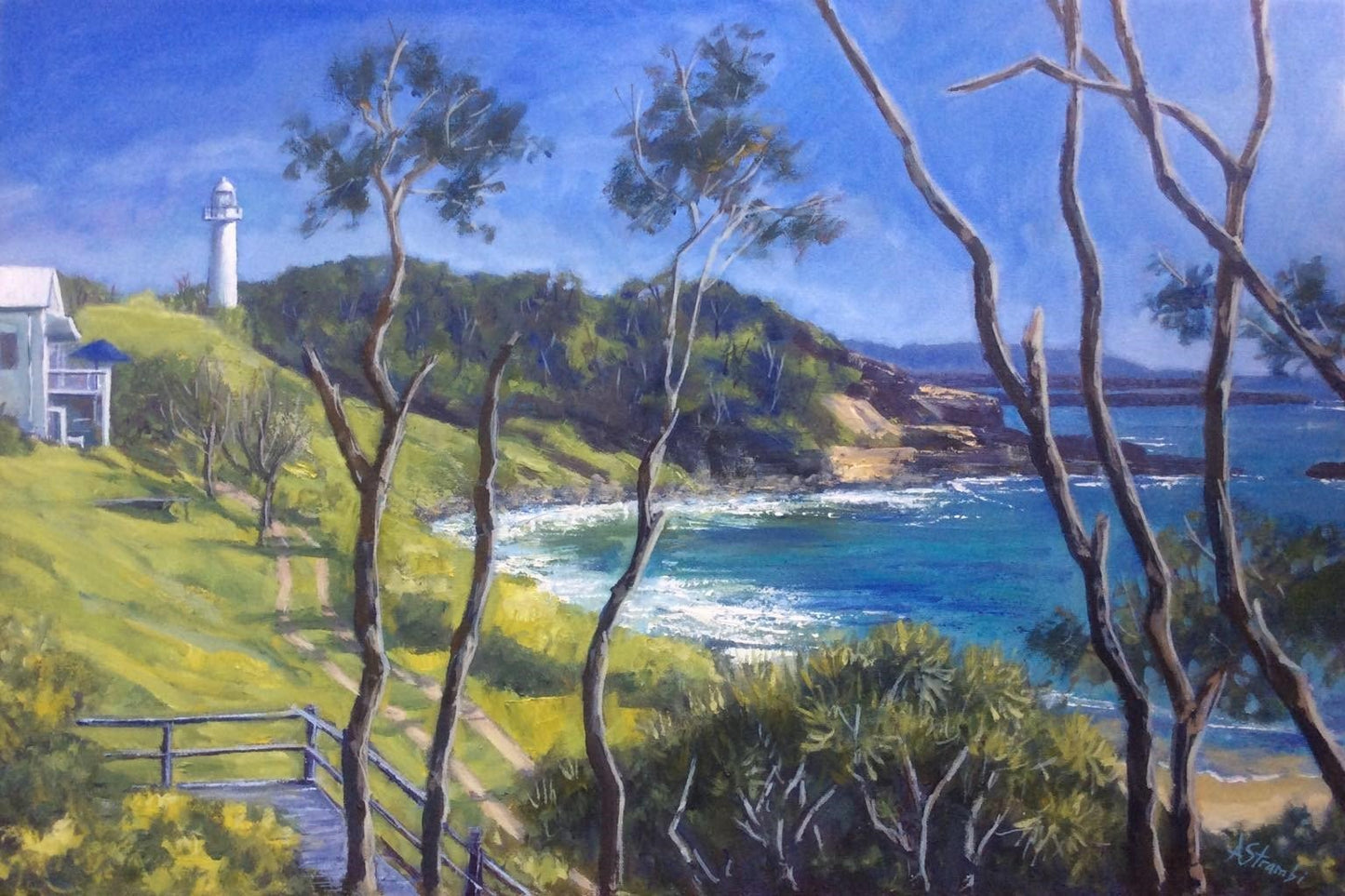 Yamba Headland View - Gold Coast Gallery Of ArtAnne Strambi