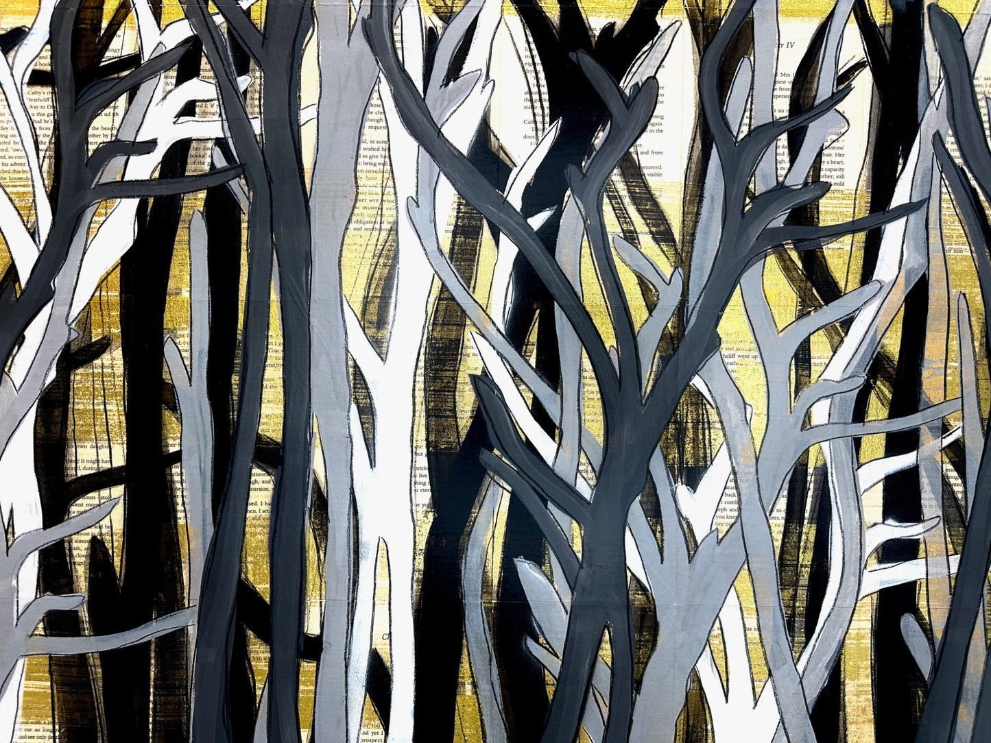 99 Nights In The Forest - Gold Coast Gallery Of ArtDeborah Lang