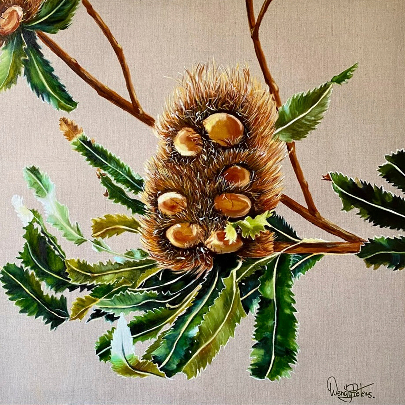 Banksia Serrata - Original Art