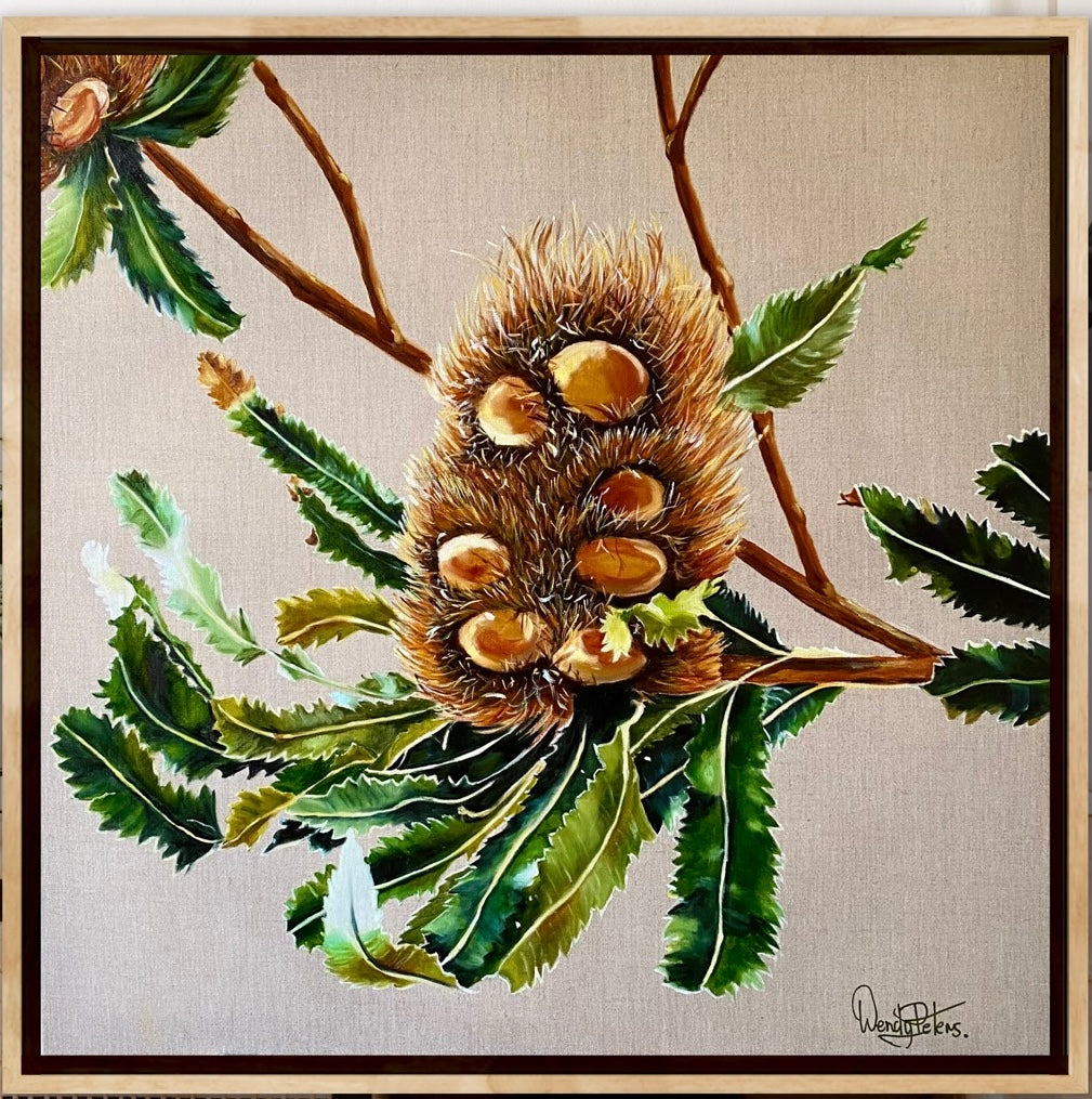 Banksia Serrata - Original Art