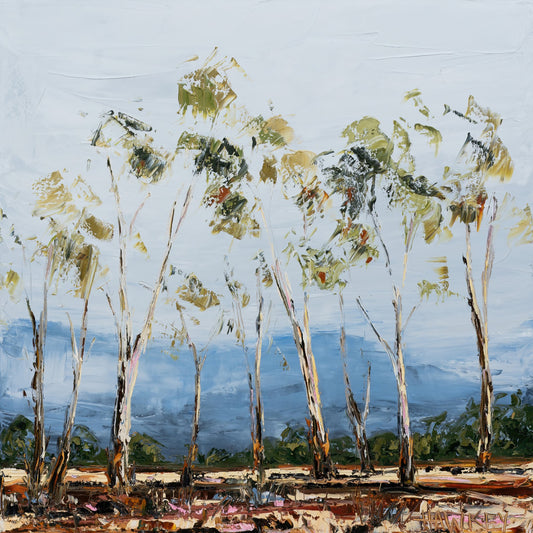 Whispering Gums - Fine Art Print