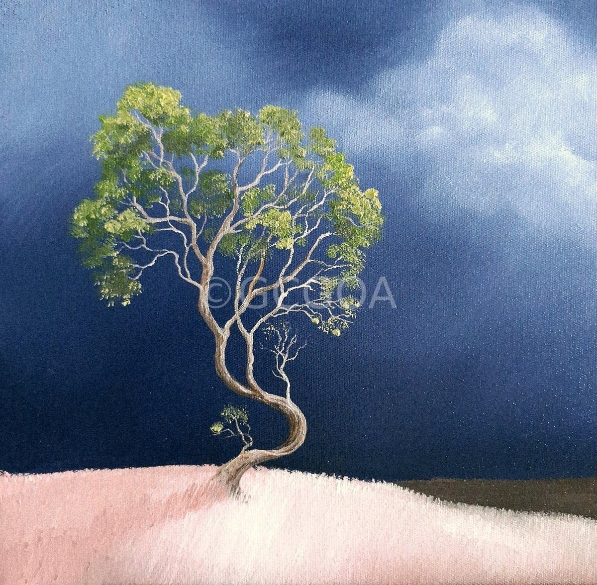 A Faint Shift - Gold Coast Gallery Of ArtLucinda Leveille