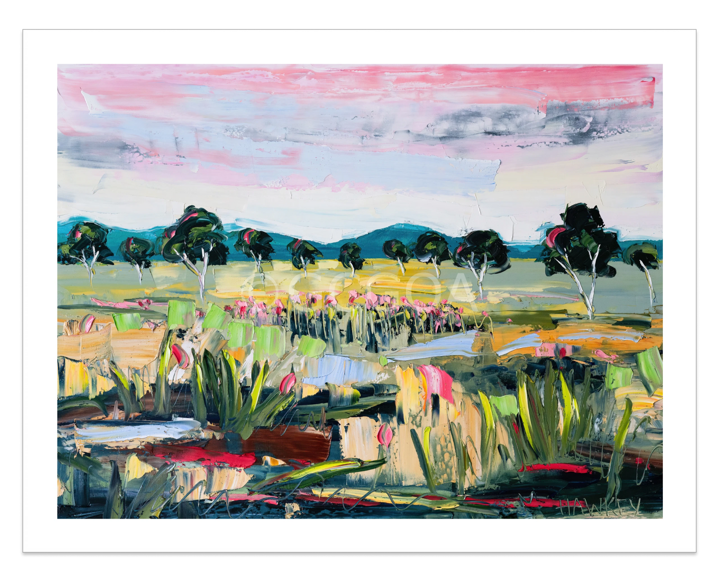 A Shared Land 2 - Fine Art Print - Gold Coast Gallery Of ArtAngela Hawkey