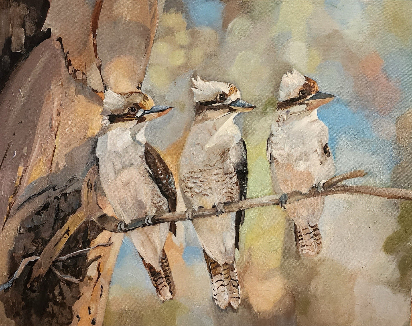 A Trio of Kookaburras - Gold Coast Gallery Of ArtSusan Trudinger