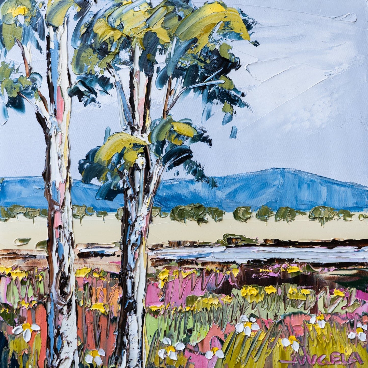 Across the Open Land - Gold Coast Gallery Of ArtAngela Hawkey