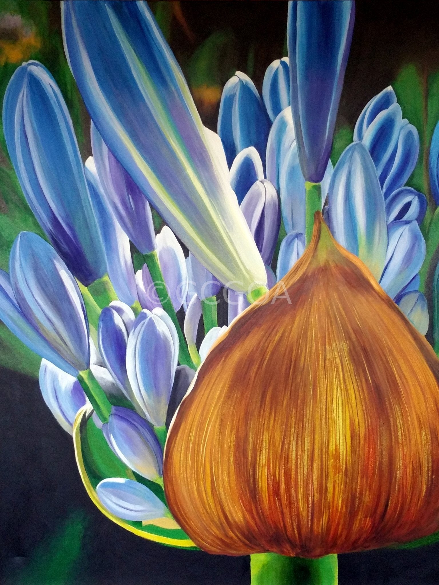African Lily of the Nile Blue Agapanthus - Original Art - Gold Coast Gallery Of ArtYvonne Wells