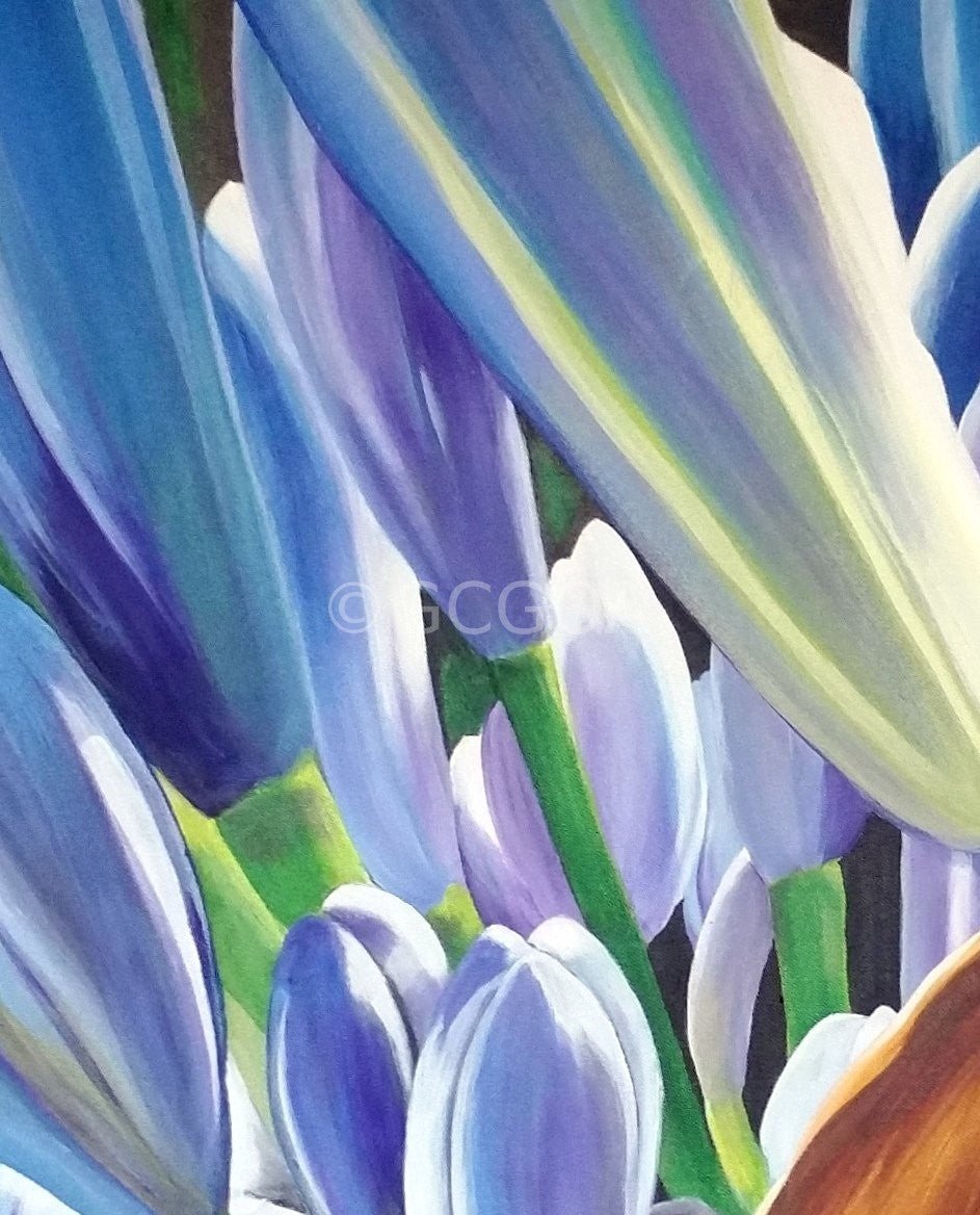 African Lily of the Nile Blue Agapanthus - Original Art - Gold Coast Gallery Of ArtYvonne Wells