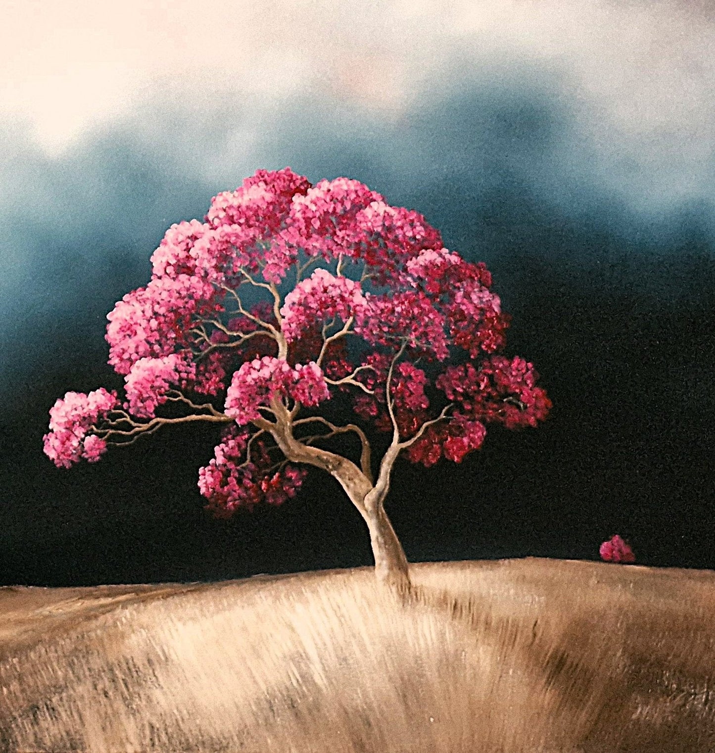 After The Cloud Passed - Gold Coast Gallery Of ArtLucinda Leveille