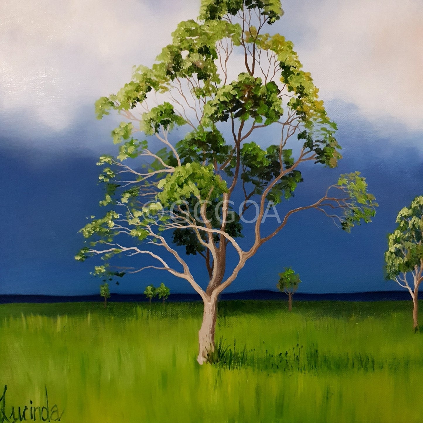 Always Greener - Original Art - Gold Coast Gallery Of ArtLucinda Leveille