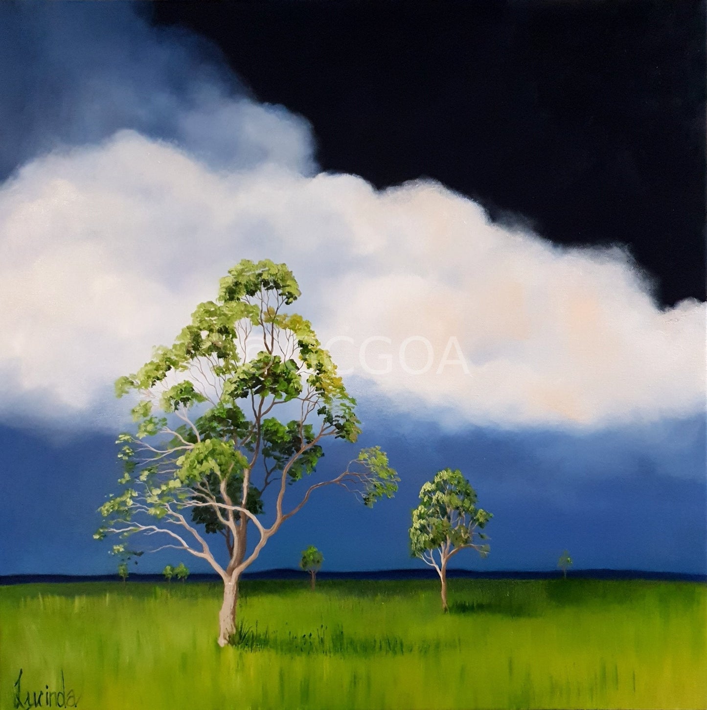 Always Greener - Original Art - Gold Coast Gallery Of ArtLucinda Leveille
