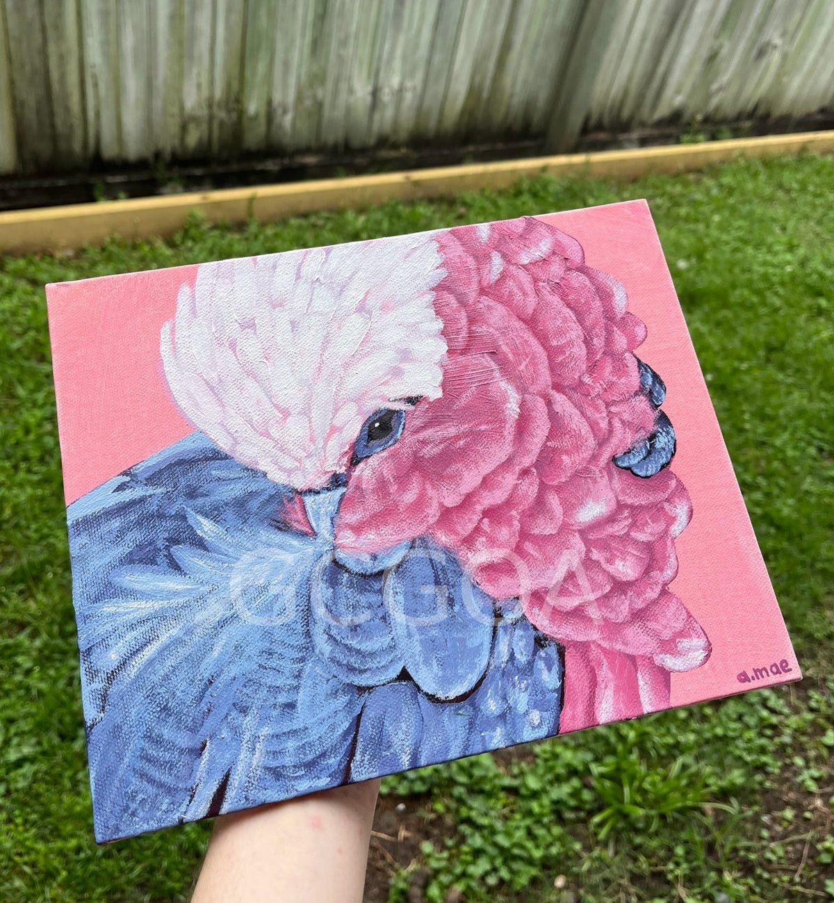 Another Feather - Gold Coast Gallery Of ArtAyla Hawkey