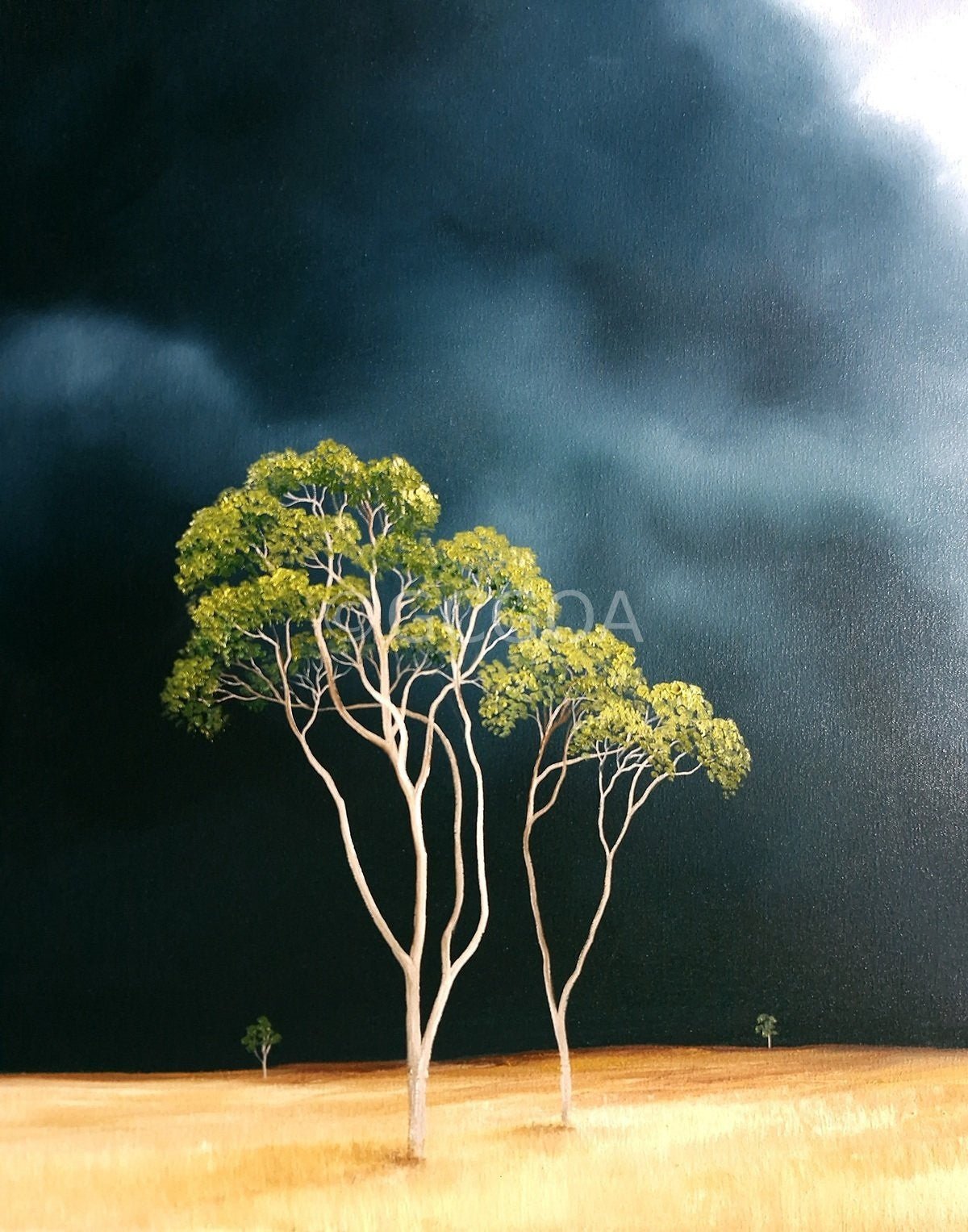 At The Edge Of Quiet - Gold Coast Gallery Of ArtLucinda Leveille