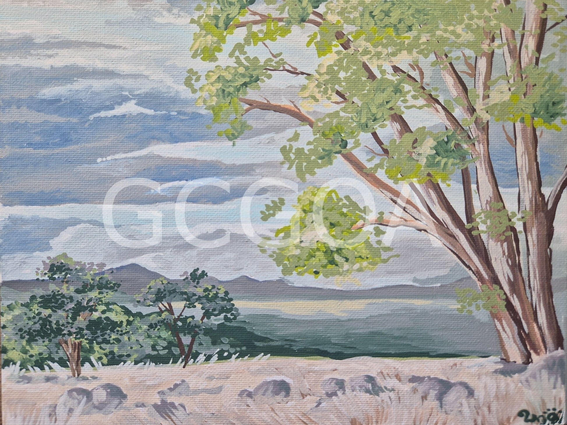 Aussie Landscape - Gold Coast Gallery Of ArtRenae Hall