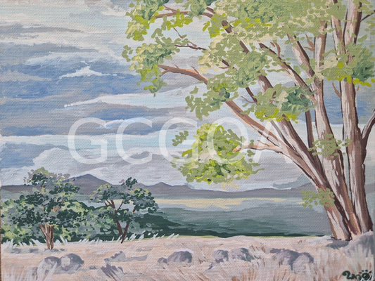 Aussie Landscape - Gold Coast Gallery Of ArtRenae Hall