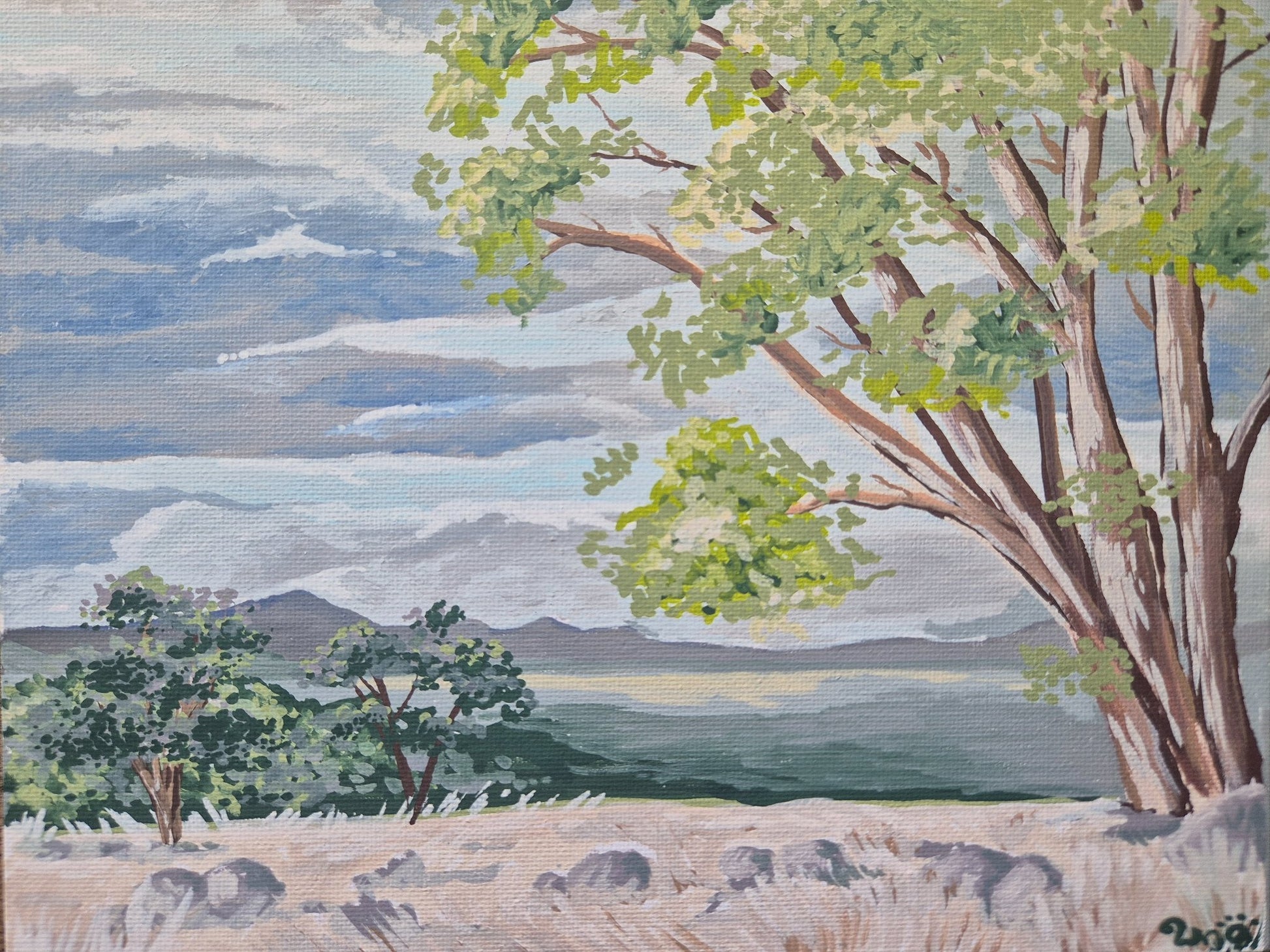 Aussie Landscape - Gold Coast Gallery Of ArtRenae Hall