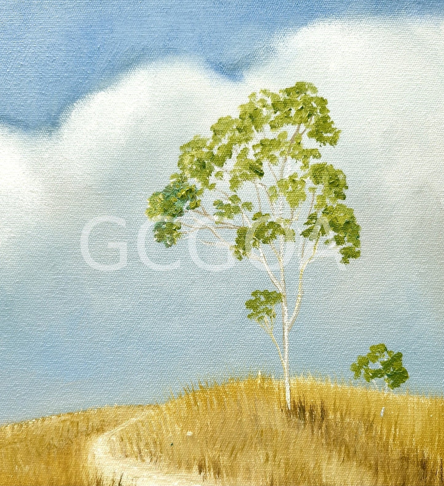 Australian Summer - Gold Coast Gallery Of ArtLucinda Leveille