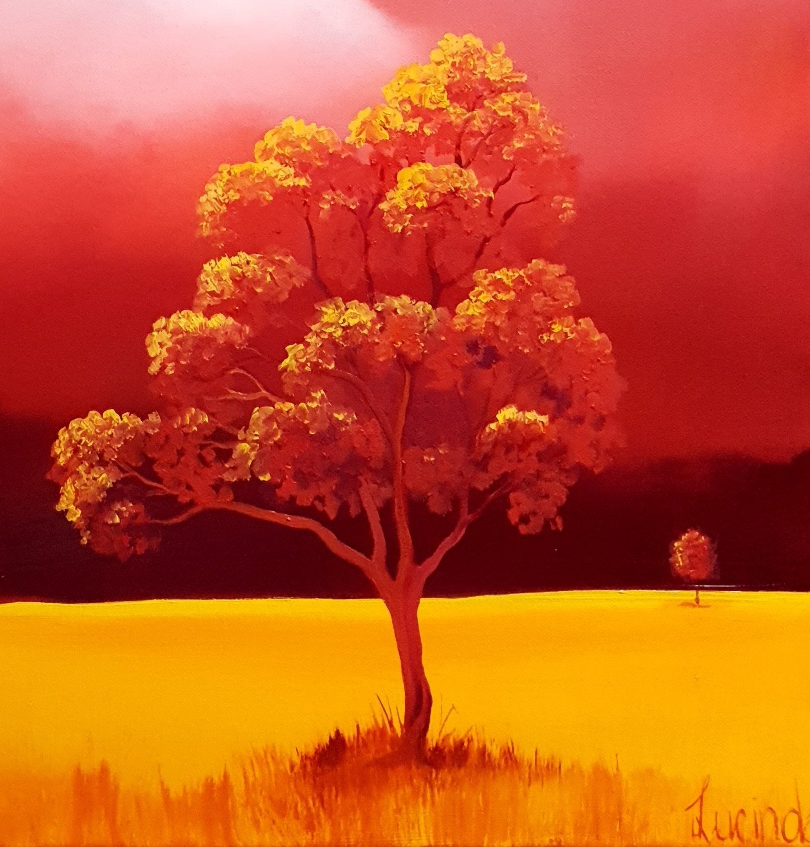 Autumn Glow - Blazing Red - Gold Coast Gallery Of ArtLucinda Leveille