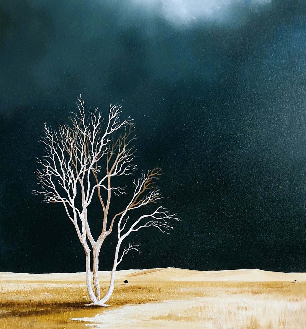 Awakening The Darkening Sky - Gold Coast Gallery Of ArtLucinda Leveille