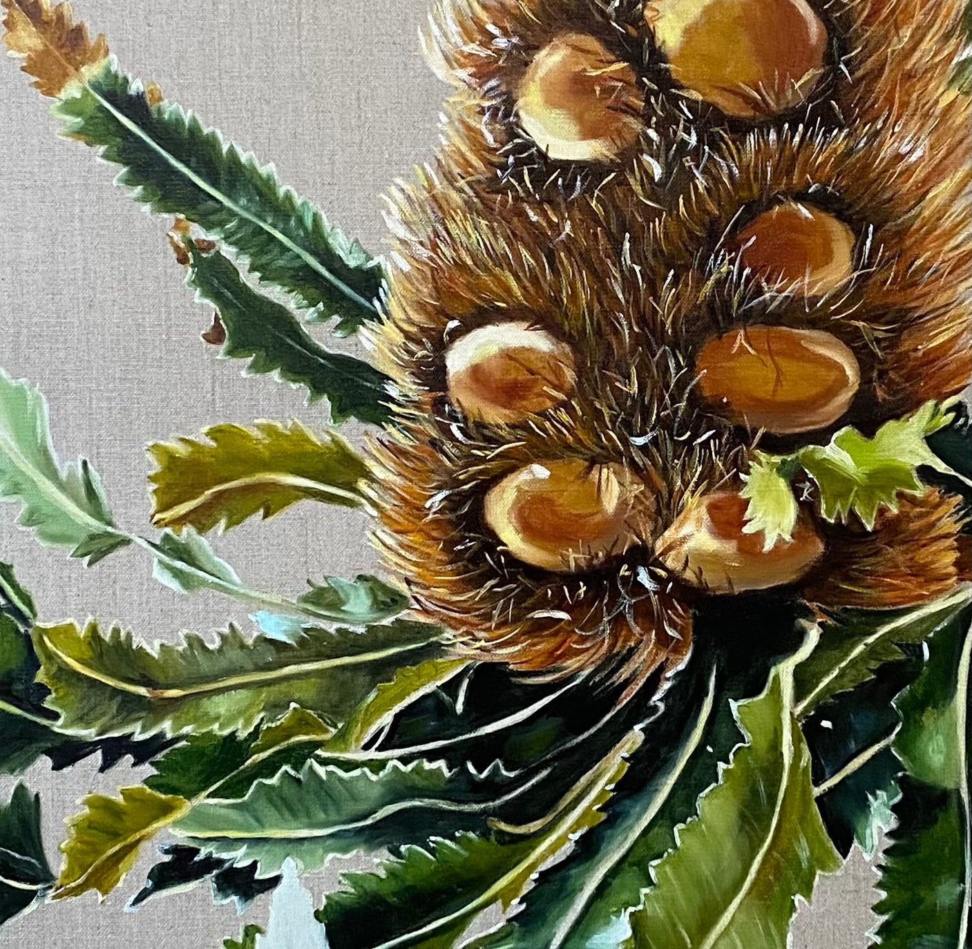 Banksia Serrata - Original Art