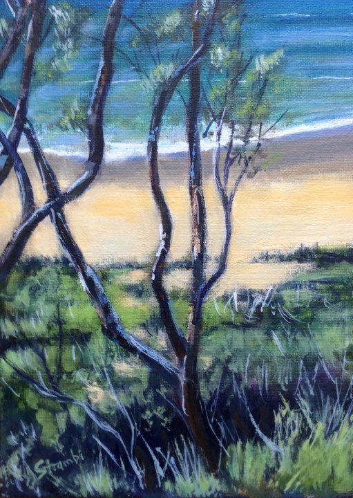Beach Glimpse at Wooli - Gold Coast Gallery Of ArtAnne Strambi