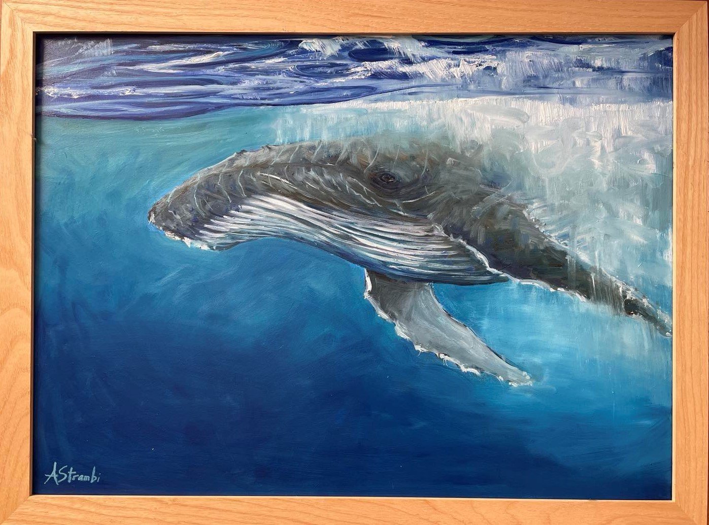 Below the Surface Humpback Whale - Gold Coast Gallery Of ArtAnne Strambi