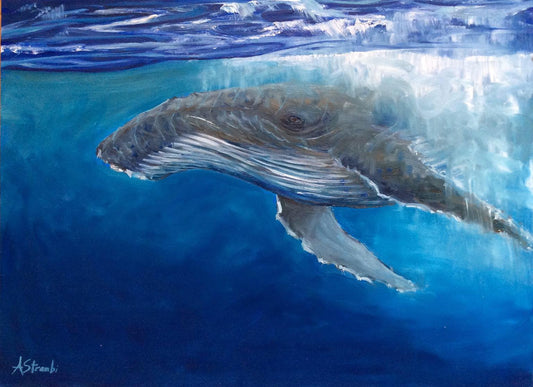 Below the Surface Humpback Whale - Gold Coast Gallery Of ArtAnne Strambi