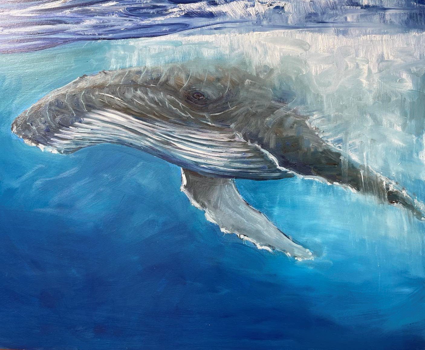 Below the Surface Humpback Whale - Gold Coast Gallery Of ArtAnne Strambi