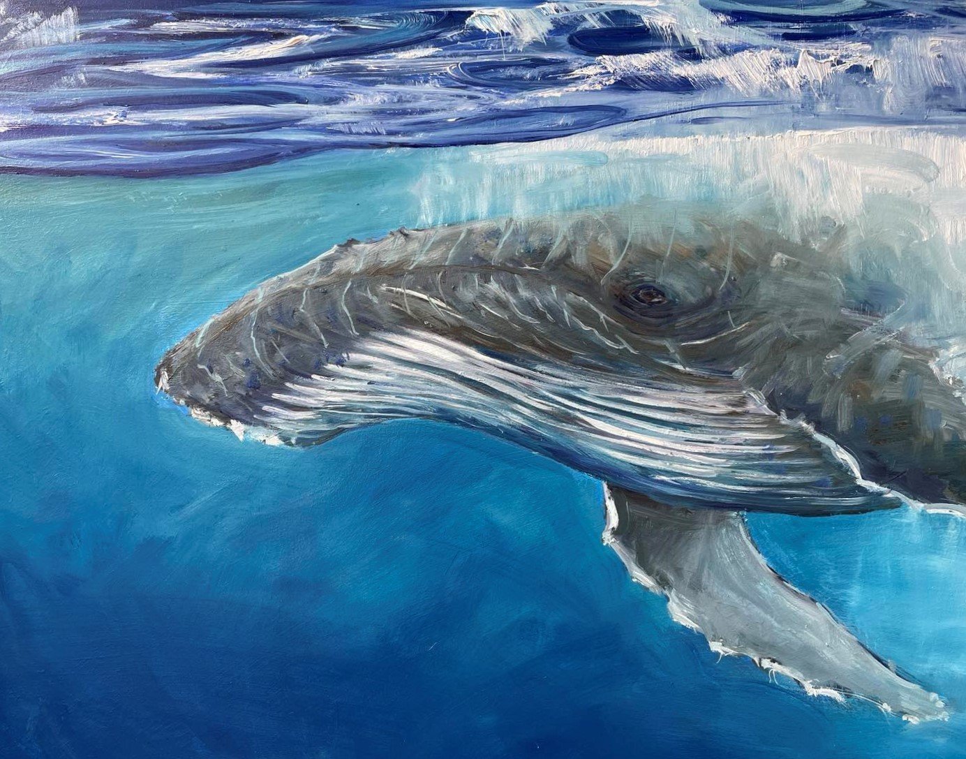 Below the Surface Humpback Whale - Gold Coast Gallery Of ArtAnne Strambi